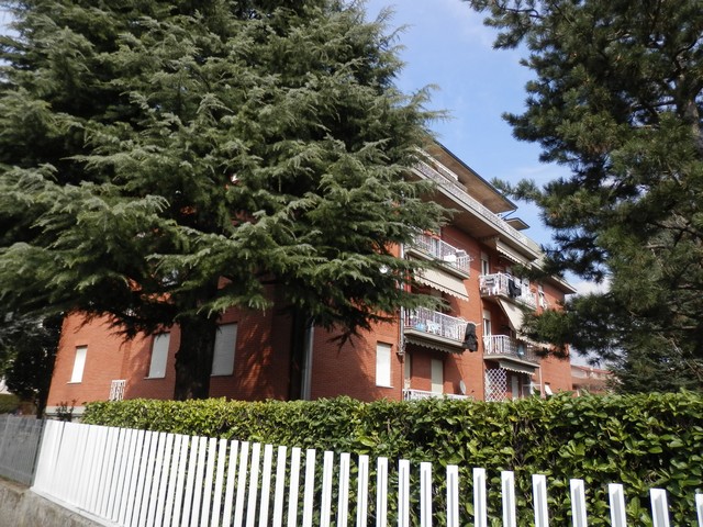 Vedi dettaglio