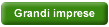 grandi imprese